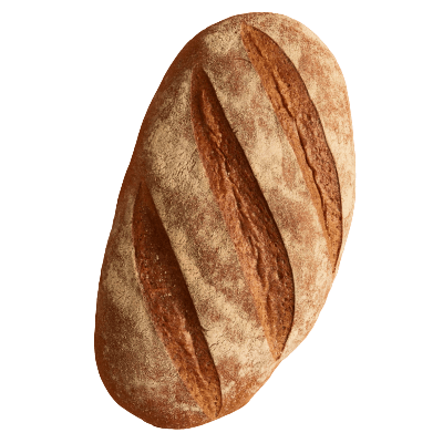 favorite image