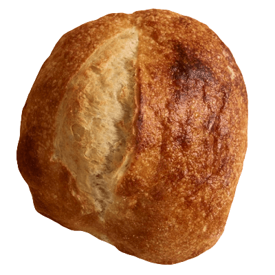 favorite image
